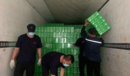 牛奶厂工人爆料视频,揭秘牛奶生产背后的真相