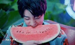 娱乐吃瓜君王俊凯,娱乐吃瓜界的“瓜王”传奇