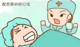 圈内人爆料cp排名,CP热度排行，哪对CP最受瞩目？