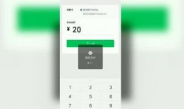 视频爆料技巧大全集,全方位攻略大全集