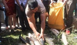 徒手抓鱼爆料视频,揭秘民间捕鱼高手绝技