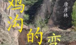 金鸡沟的变迁在线观看,见证时代发展的壮丽画卷
