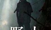 野火 电影 在线观看,燃烧的青春，燃烧的梦想