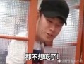 陈哥武汉爆料视频最新,揭秘疫情背后惊人真相
