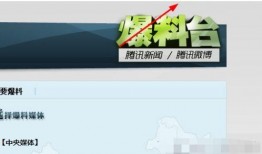 大粤网如何爆料新闻,揭秘事件真相，共建透明社会