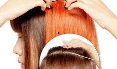 假发 在线观看,虚拟时尚潮流的在线盛宴