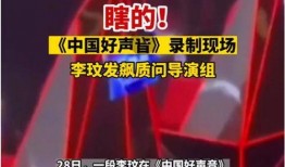 好声音爆料视频完整版,选手幕后故事与精彩瞬间
