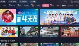 揭阳网红爆料视频播放时间,揭秘幕后真相，播放时间引发热议