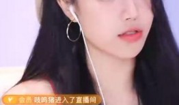 娱乐吃瓜的主播有哪些人,揭秘娱乐吃瓜主播的璀璨人生
