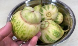 甜瓜美食爆料视频大全,解锁夏日清新美味新境界