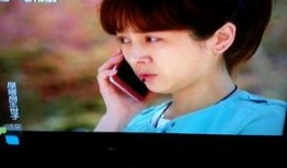 房塔屋世子在线观看,穿越时空的浪漫传奇，在线观看带你领略古代风华