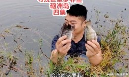 徒手抓鱼爆料视频,揭秘民间捕鱼高手绝技