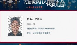 六叔公最新爆料网站视频,网站视频内容深度解析