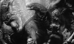 异形 契约 在线观看,揭秘外星生物的神秘契约之谜