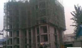 天洲最新爆料消息,揭秘神秘事件背后的惊人真相