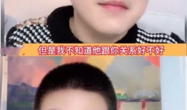 刘大锤爆料男爱豆视频播放,网络热议引发关注