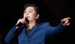 歌手王杰最新爆料视频,最新爆料视频背后的故事与感悟