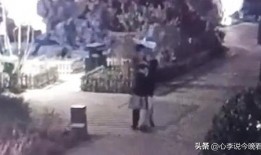 河北吃瓜爆料事件视频曝光,视频曝光事件引发热议