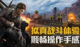 大瓜爆料和平精英视频,大瓜爆料视频背后的真相与精彩瞬间