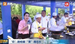 江西都市频道新闻爆料,揭秘某重大事件背后真相
