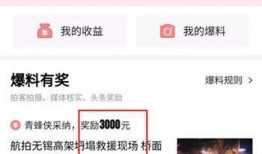 头条爆料视频怎么申请,如何一键生成概述文章副标题
