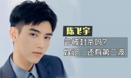 陈飞宇第二波爆料视频,揭秘娱乐圈背后真相