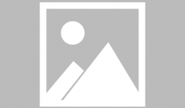 南京导游爆料新闻视频播放,揭秘古城背后的故事