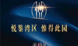 天洲最新爆料消息,揭秘神秘事件背后的惊人真相