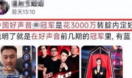 好声音爆料视频完整版,选手幕后故事与精彩瞬间