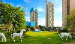 碧桂园新闻爆料视频最新,揭秘项目背后的惊人真相