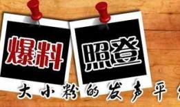 大渝网爆料台最新爆料新闻,揭秘最新劲爆新闻事件