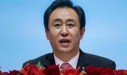 专家爆料许家印视频全集,专家爆料视频全集深度解析