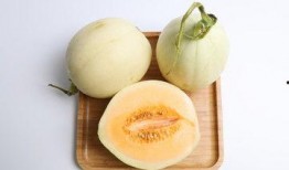 甜瓜美食爆料视频大全,解锁夏日清新美味新境界