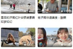 济南都市爆料事件视频播放,视频揭露惊人真相