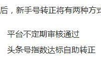 今日头条文章审核爆料,揭秘审核机制背后的真相