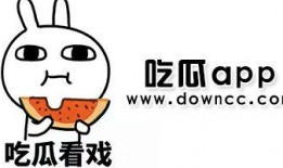 吃瓜群众有哪些网红,盘点当下热门网红风云录