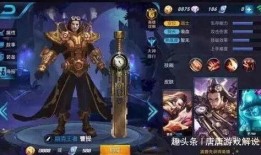 王者荣耀晟爆料视频全集,晟爆料视频全集深度解析，揭秘英雄背后的故事与技能进化