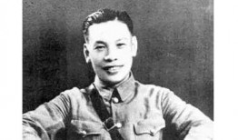 蒋纬国临终爆料视频大全,揭秘历史真相与家族秘闻