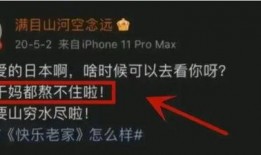 内鬼奉旨爆料视频在线看,奉旨爆料视频背后的真相与内幕