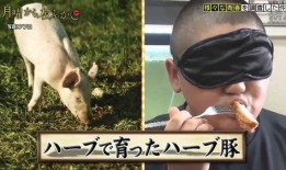 日猪少年视频在线观看,揭秘网络红人的魅力与成长之路