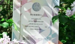 网络爆料完结陈晓晓视频,网络爆料背后的真相与情感纠葛