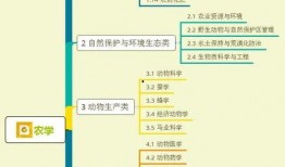 大连酒店爆料视频大全集,揭秘酒店行业背后的真相