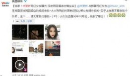 网红出视频爆料,视频爆料背后的惊人真相