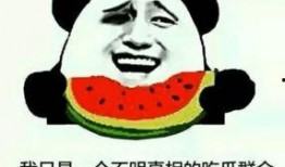 吃瓜群众有哪些网红,盘点当下热门网红风云录
