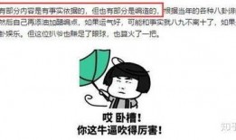 娱乐圈吃瓜421pdf,421PDF背后的惊人内幕大曝光