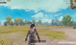 最新和平精英新军需爆料