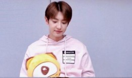 朴灿烈直播爆料了吗视频,独家爆料幕后故事