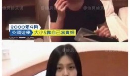 麦琳前保姆爆料视频播放,揭秘明星家庭幕后真相