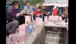 牛奶厂工人爆料视频,揭秘牛奶生产背后的真相